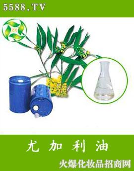 ������������Ȼֲ�����޹�˾�������ȼ����;���