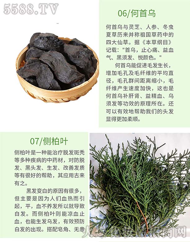 Ȫ���ֿ��t(y��)ˎ���޹�˾���l(f��)ѾѾ�ݱ�ֲ�����ϴ�l(f��)�飨���מ�����(c��)���~��