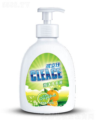 ���K���V�ջ����F(tu��n)�ɷ����޹�˾�������ˣ�CLEACE)��ĭϴ��Һ�������300g