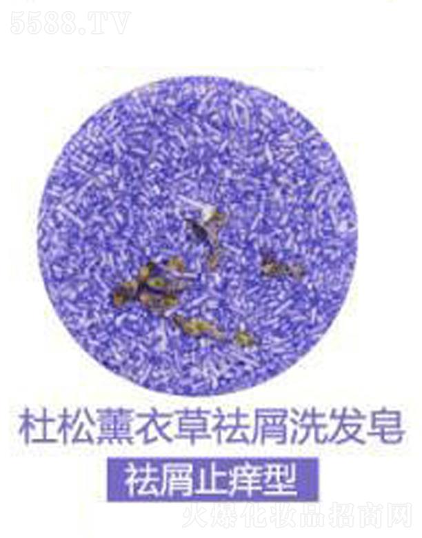 �V���G������Ƽ����޹�˾����ܽ������޹�²���мϴ�l(f��)��-��мֹ�W��