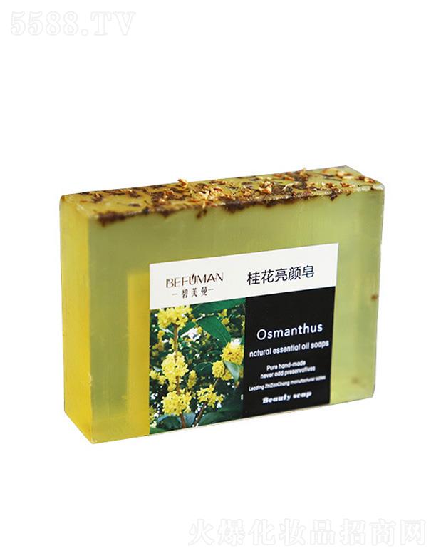 �V���G������Ƽ����޹�˾����ܽ��������� 100g