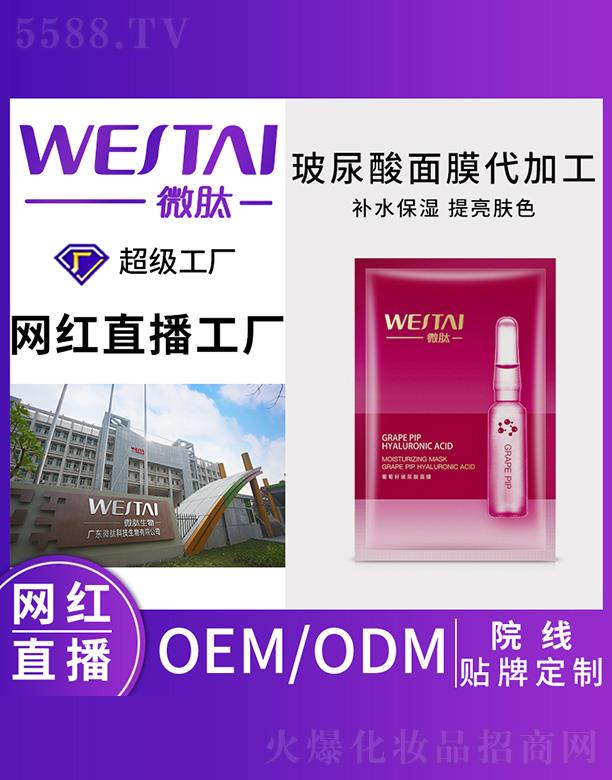 �V�|΢������Ƽ����޹�˾��΢�Ĳ�������Ĥ���ӹ�