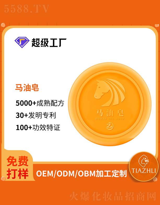 �V����֥������Ƽ����޹�˾���V����֥���R���� �������ȥ���^�R�͝���������