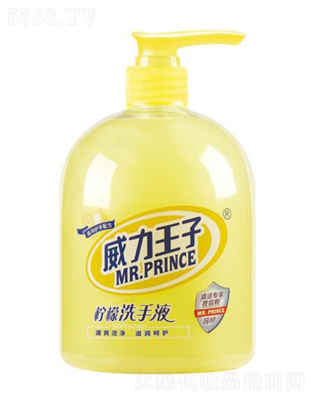 �V������ջ��Ƽ����޹�˾���������ә���ϴ��Һ 500��