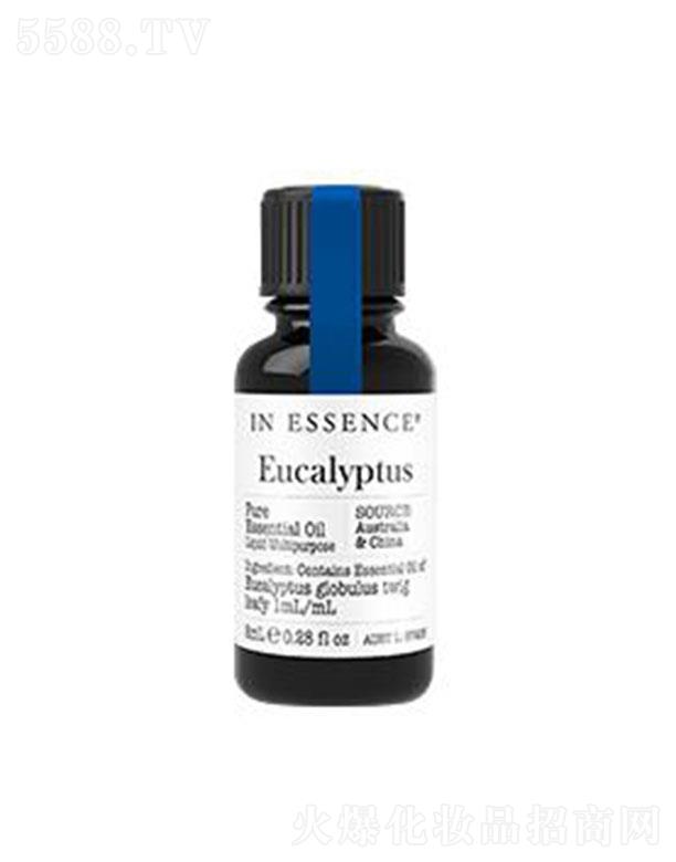 ����؈С΢����̄�(w��)���g(sh��)���޹�˾��IN ESSENCE�{(l��n)�z�ȼ����η�����