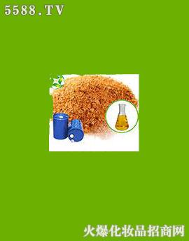 �����׿���