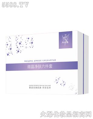 ΢�����w������