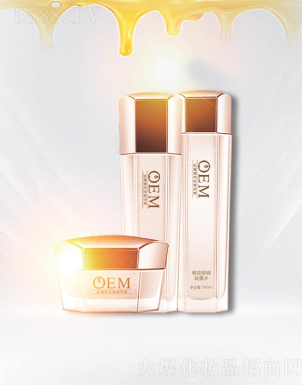 ���z���ϵ��OEM