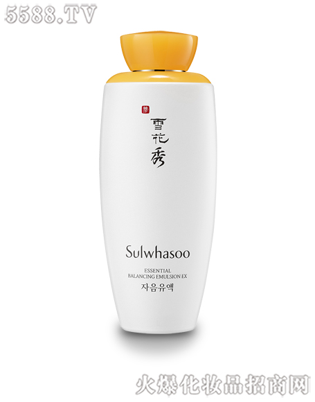 ѩ������ӯ���������