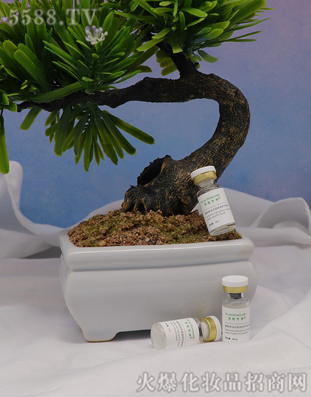 ���㷼�޸���ϩ���y�o�����o(h��)���ɷۆ�ֻ