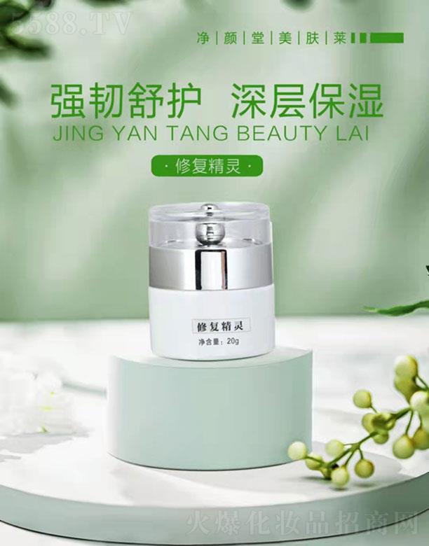 ��������w�R�ޏ�(f��)���` 20g