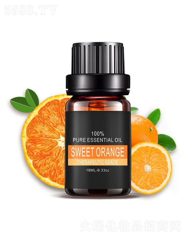 ��������Ⱦ���