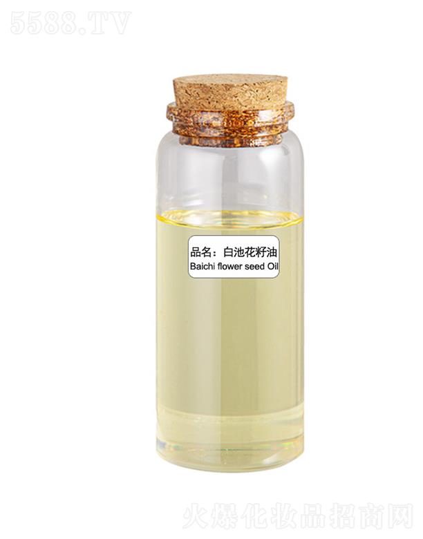 ɭ���׳ػ�����