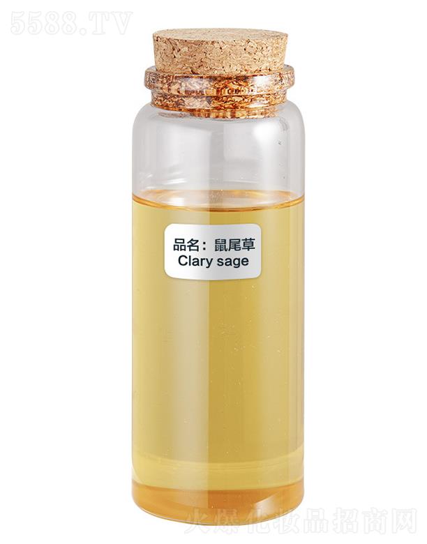 ɭ����β��