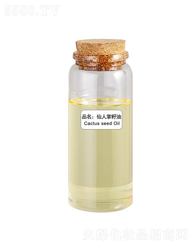 ɭ������������