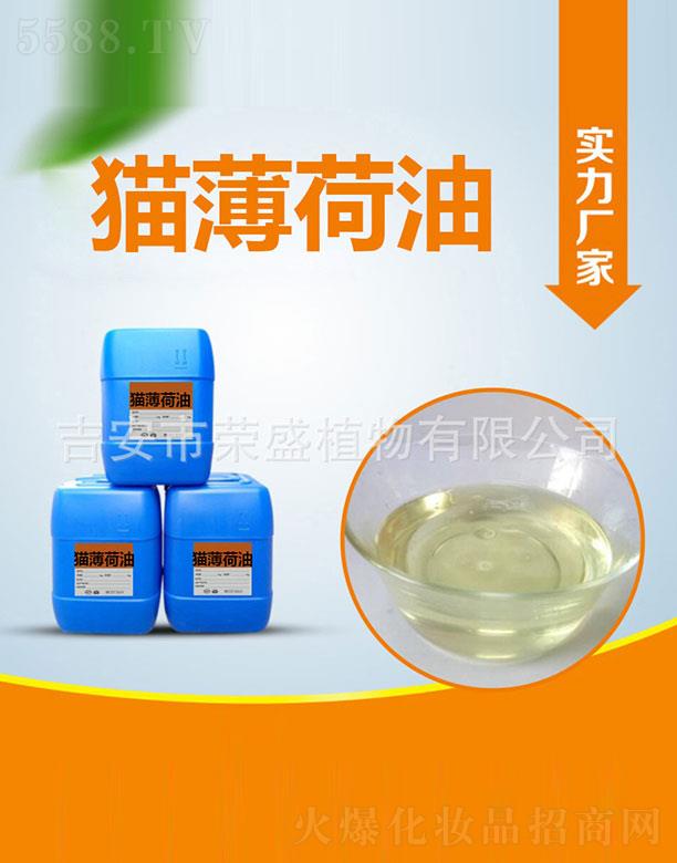 �sʢ؈������