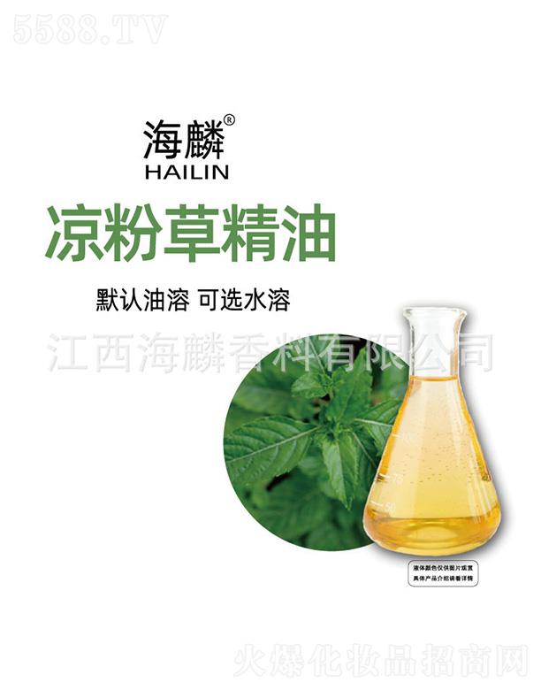 ������۲ݾ���