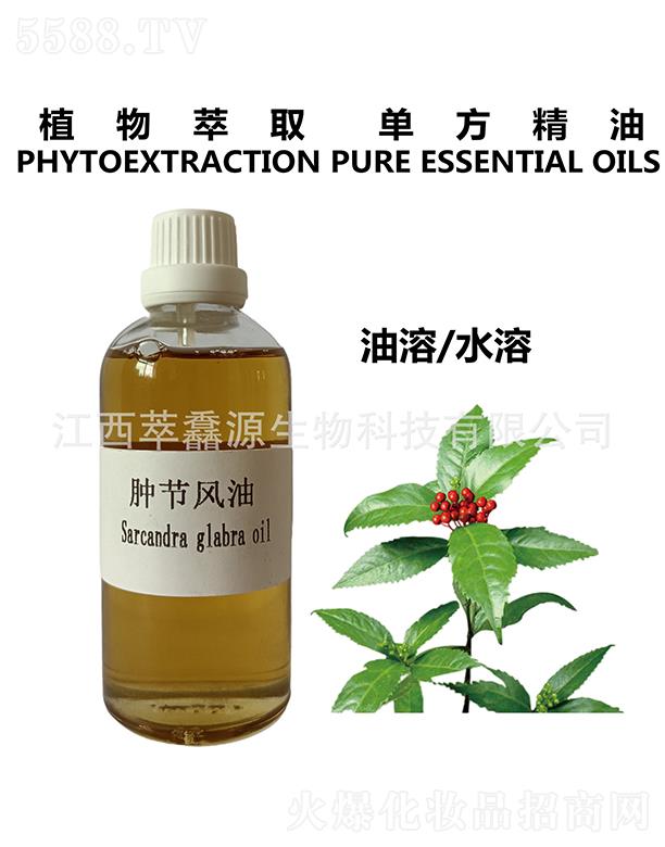 ���QԴ�[��(ji��)�L��