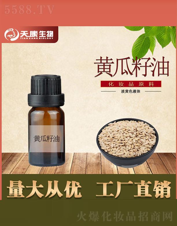 �쿵�����S������