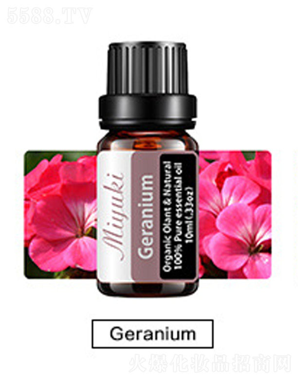 �o(h��)�w��޹��Ħ��-Geranium���ÿ�