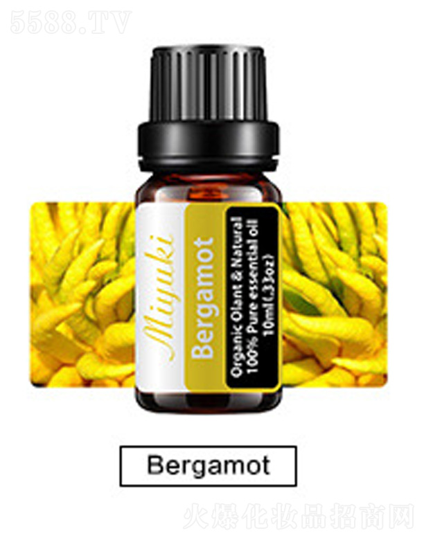 �o�w��޹��Ħ��-Bergamot���ָ�