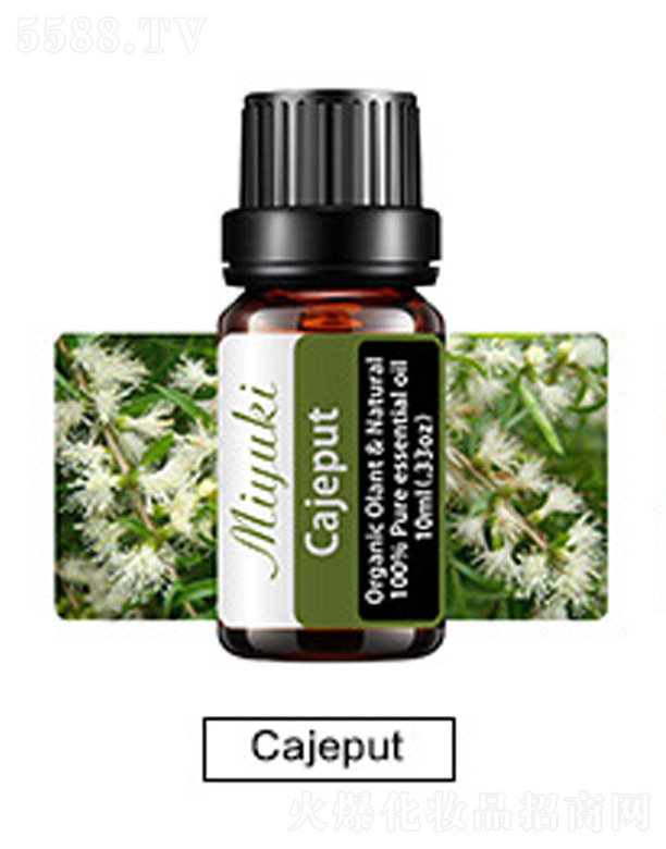 �o�w��޹��Ħ��-Cajeput��ǧ��