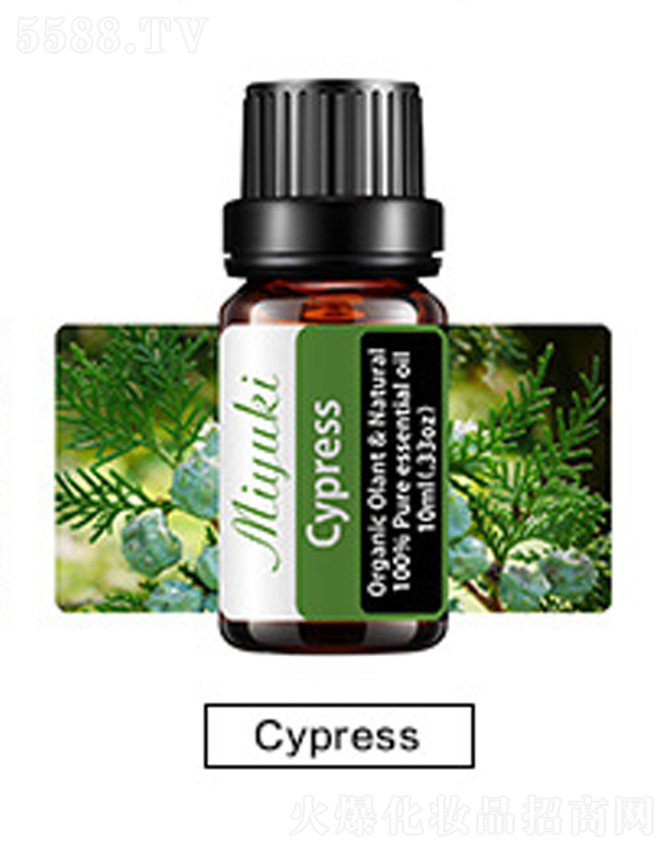 �o�w��޹��Ħ��-cypress��ľ