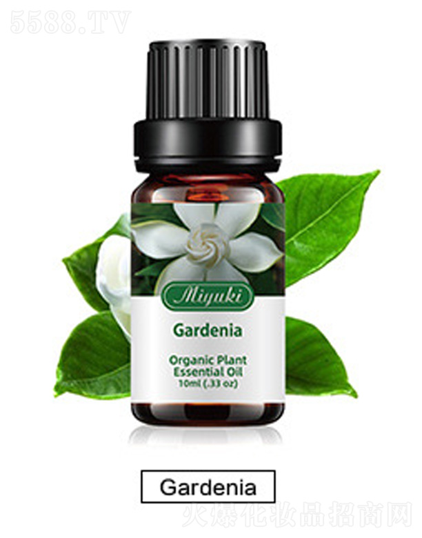 �o�w��޹��Ħ��-Gardenia�d��