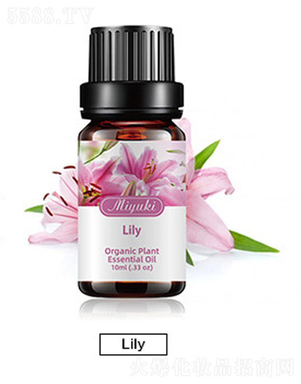 �o(h��)�w��޹��Ħ��-Lily����