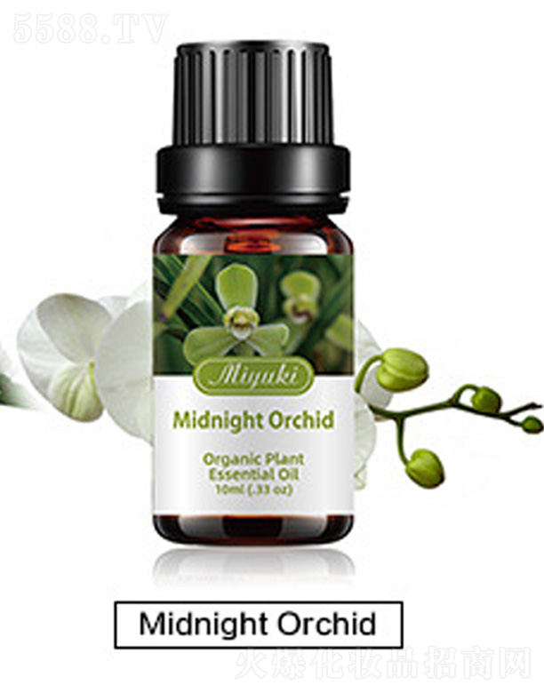 �o(h��)�w��޹��Ħ��-Midnight Orchid��ҹ�m��
