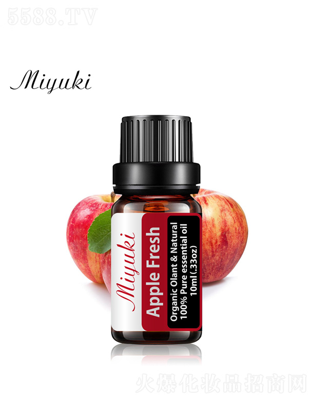 �O����޹��