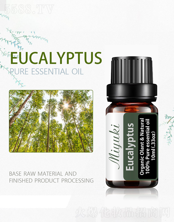 �ȼ�������