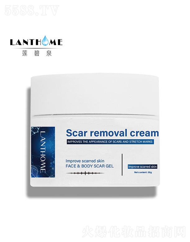 �V����������   lanthome���̸൭�̺�˪   �ޏͼ���