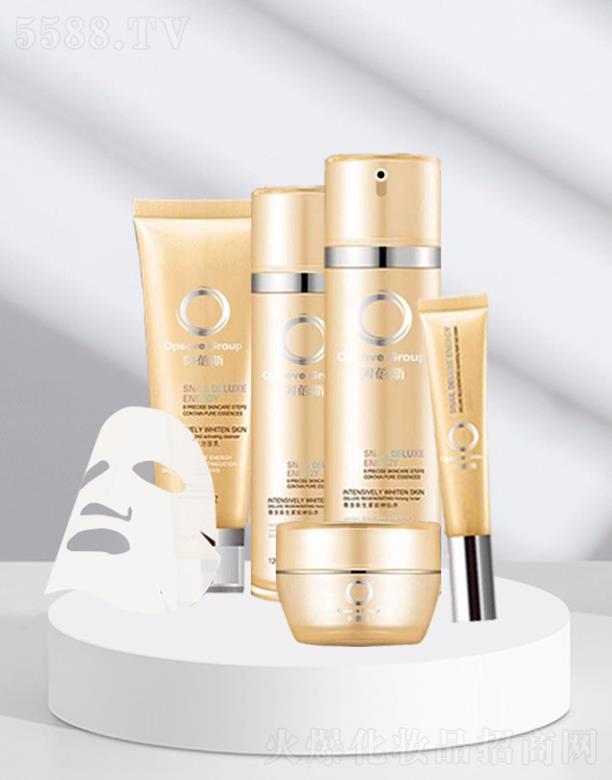 �W��˹����ϩ���g�ᰙ���bOEM���ӹ�