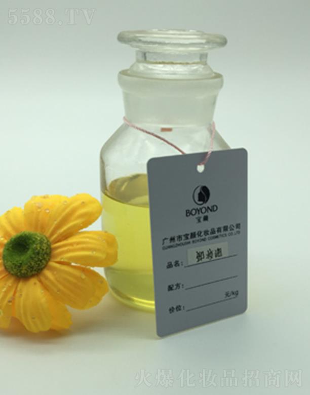 �V�݌��ж�y��