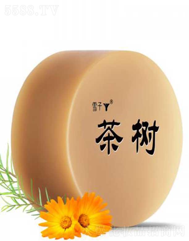 ѩ�Ӳ��ˮ����Դ�ֹ���