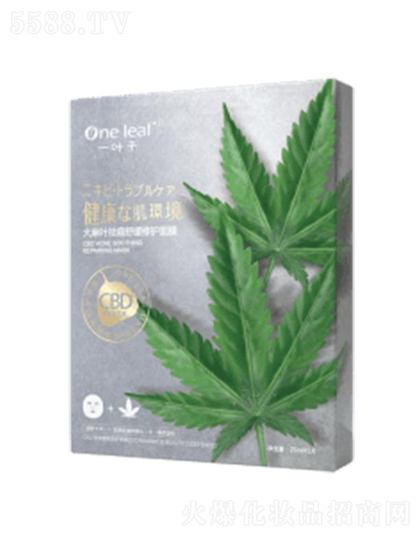 һ�~����澏���o(h��)��Ĥ��2019��