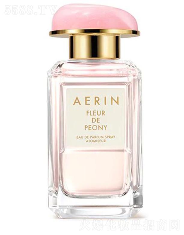 AERIN����ĵ��������� ��ɫ���� һҊ�A��