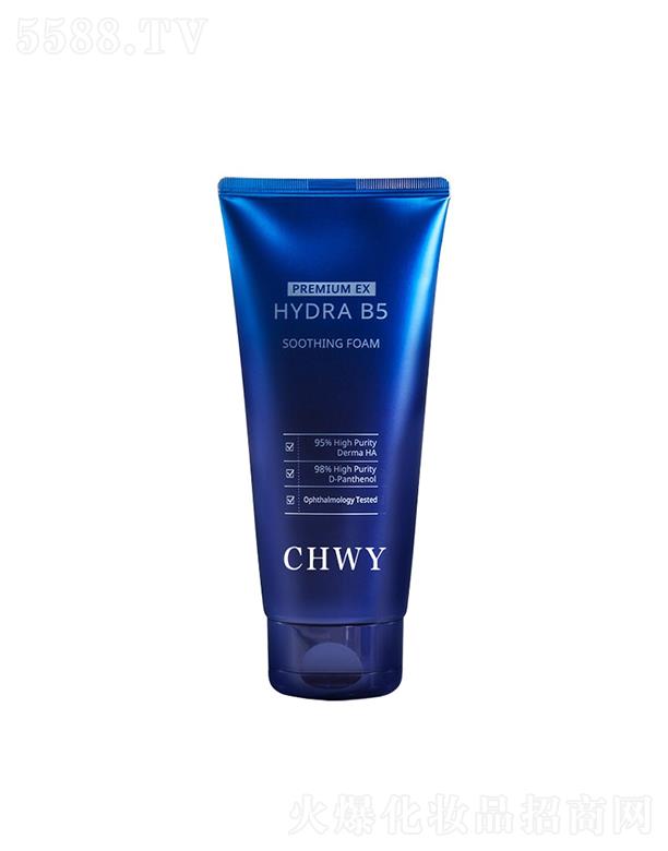 嫝�������ĭϴ���̝�����  ������