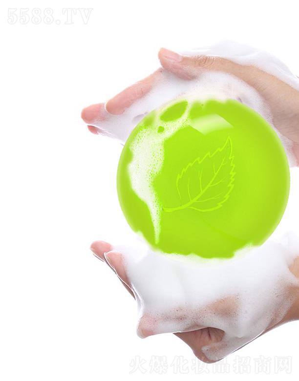 ľ���~ֲ�̓����G�� 100g