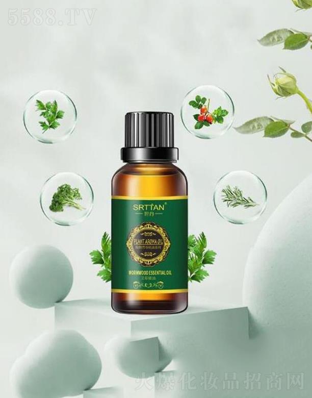 �V�ݘs������   �������ݰ�Ħ����   ���B(y��ng)��(r��n)�w