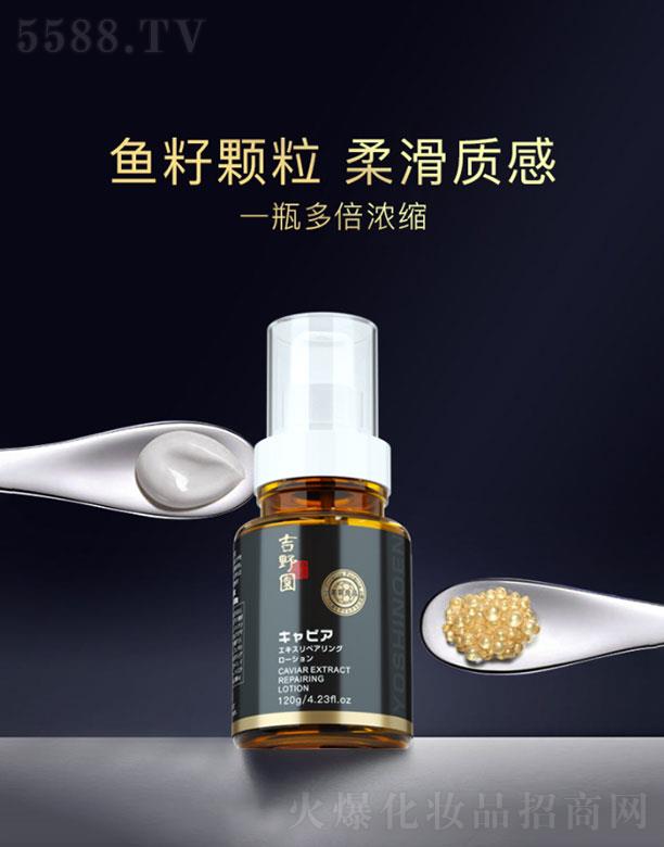 �V���и���  ��Ұ�@�~���u̥�P�؟����Ĥ  120g    �o�����w