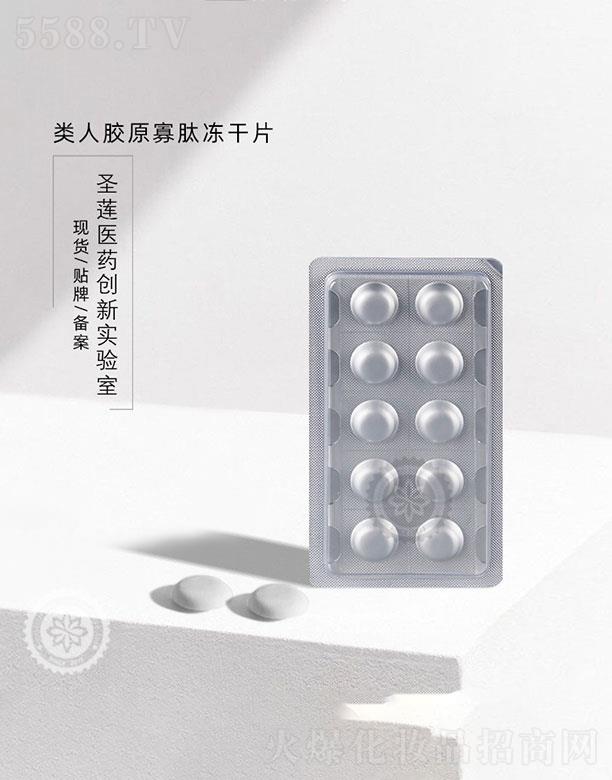 �V��ʥɏ   ʥɏ����zԭ���ă���Ƭ   ���w���o