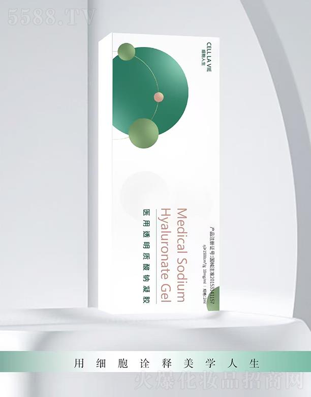 ��(x��)�������t(y��)��͸���|(zh��)���c���z