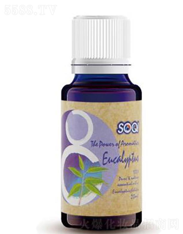 SOQI�η����͡����ȼ�������