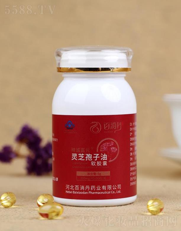 �������`֥������ܛ�z��