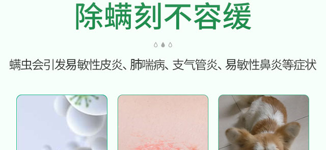 ������ζ���F