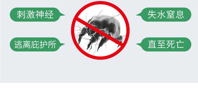 ������ζ���F