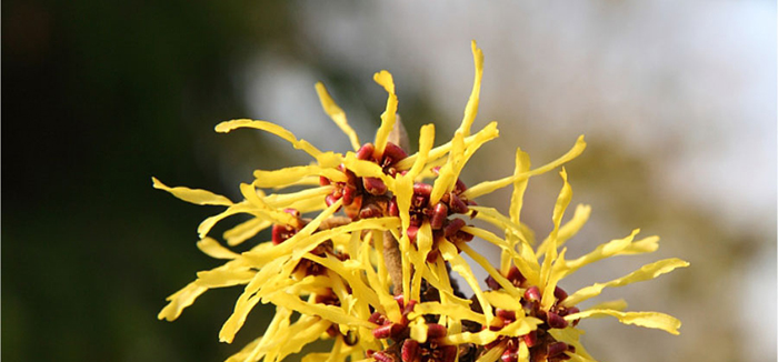 ؐ��ޱԊ(sh��)�������R���������F