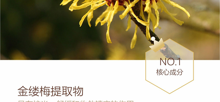 ؐ��ޱԊ(sh��)�������R���������F